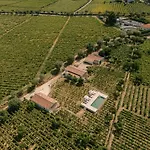 Imago - Douro Valley - By Met * Lamego