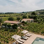 Imago - Douro Valley - By Met