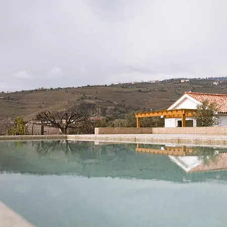 Imago - Douro Valley - By Met * Lamego