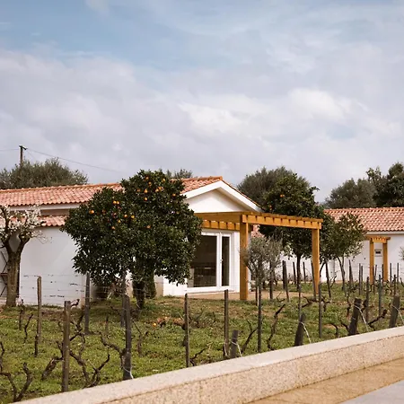 Imago - Douro Valley - By Met Villa