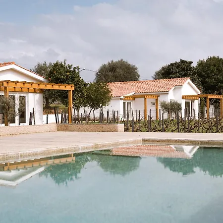 Imago - Douro Valley - By Met Villa Lamego