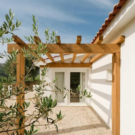 Imago - Douro Valley - By Met * Lamego