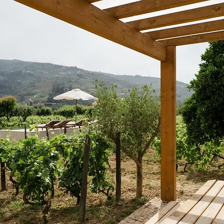 Imago - Douro Valley - By Met Villa *