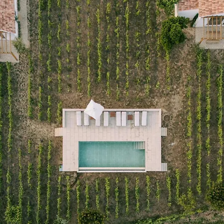 Imago - Douro Valley - By Met Willa Lamego