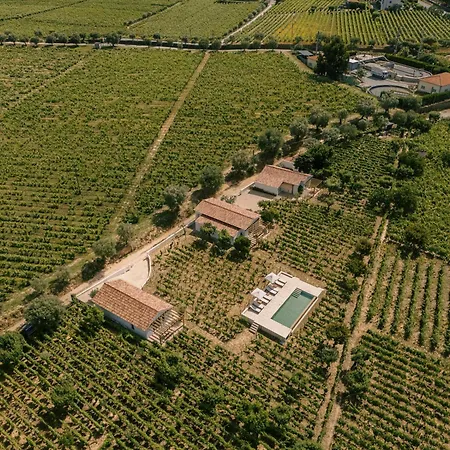 Imago - Douro Valley - By Met * Lamego