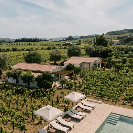 Imago - Douro Valley - By Met