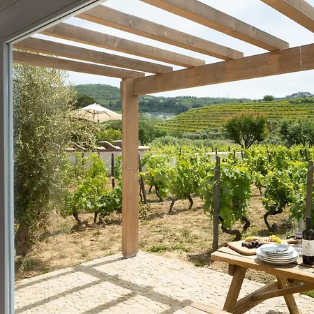 Imago - Douro Valley - By Met Βίλα