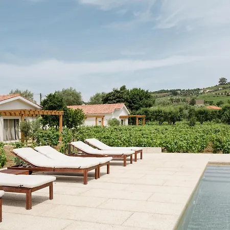 Imago - Douro Valley - By Met