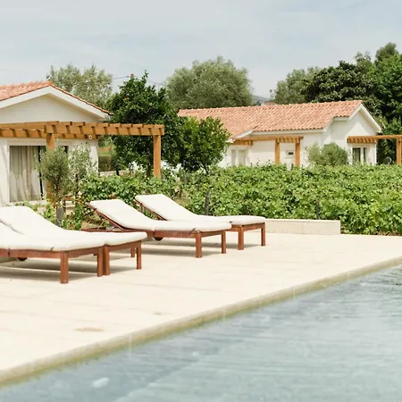 Willa Imago - Douro Valley - By Met Lamego