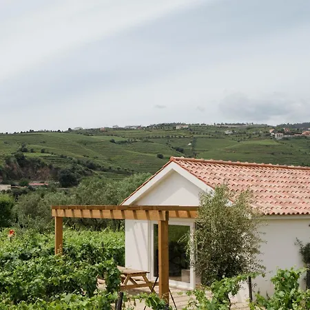 Imago - Douro Valley - By Met Villa *