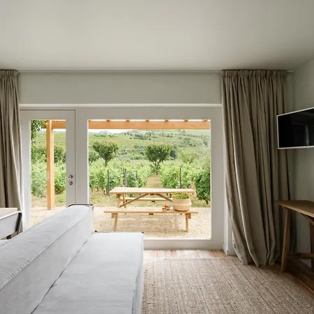 Willa Imago - Douro Valley - By Met Lamego