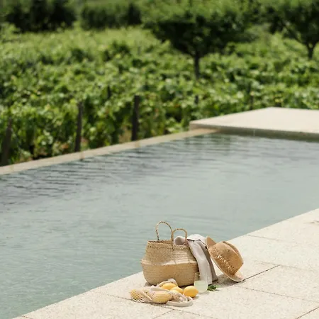 Imago - Douro Valley - By Met Willa Lamego