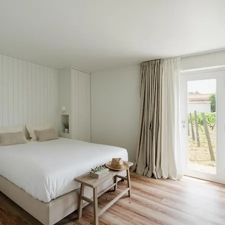 Imago - Douro Valley - By Met