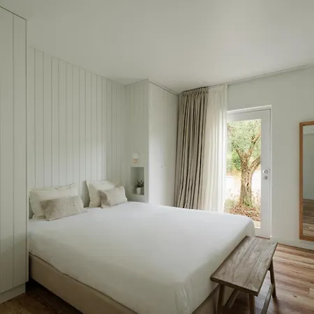 Imago - Douro Valley - By Met * Lamego