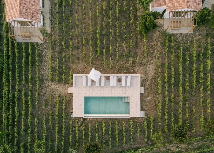 Imago - Douro Valley - By Met 别墅 拉梅戈