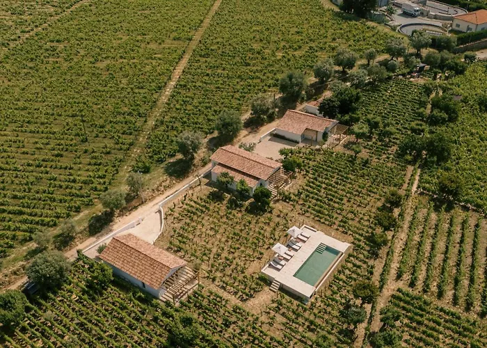 Imago - Douro Valley - By Met * Lamego