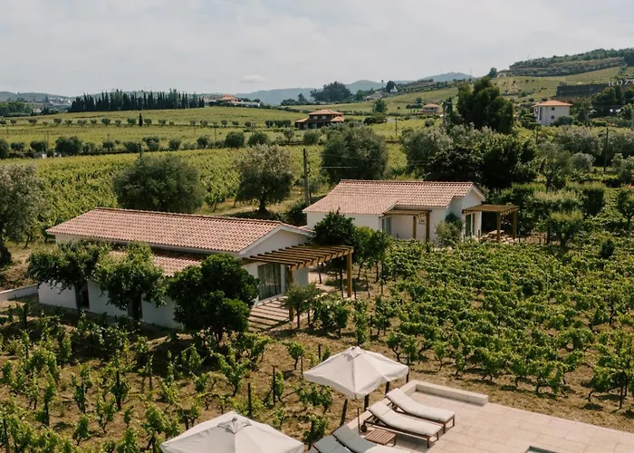 Imago - Douro Valley - By Met