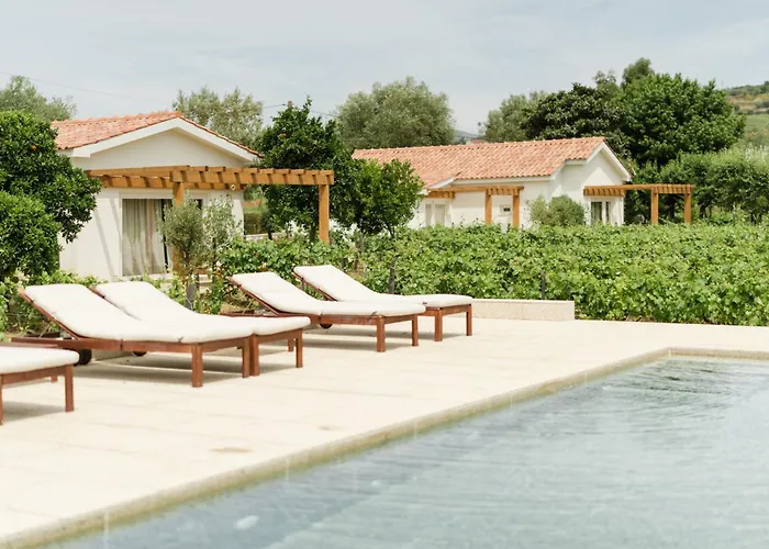 Villa Imago - Douro Valley - By Met Lamego