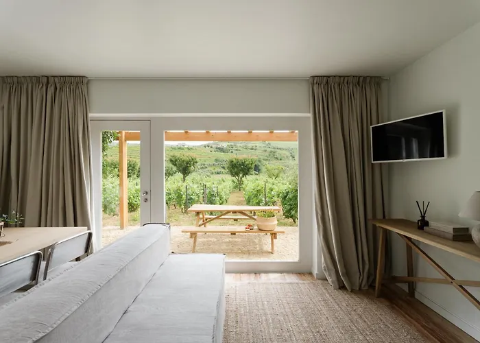 Villa Imago - Douro Valley - By Met Lamego