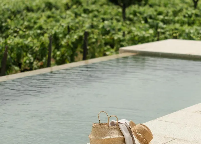 Imago - Douro Valley - By Met Villa Lamego