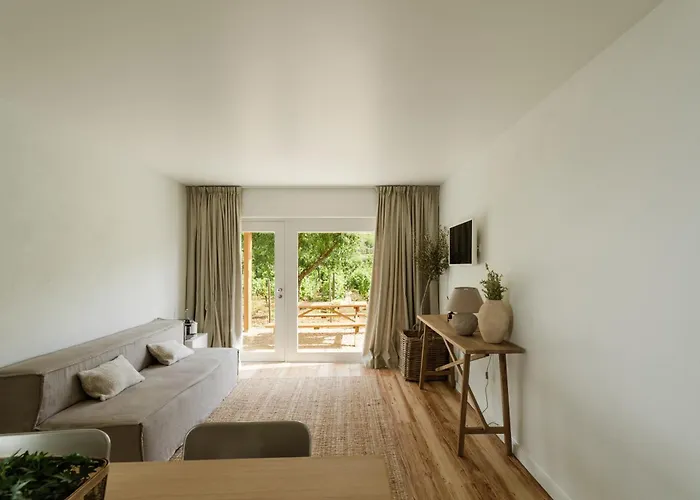 Imago - Douro Valley - By Met Lamego